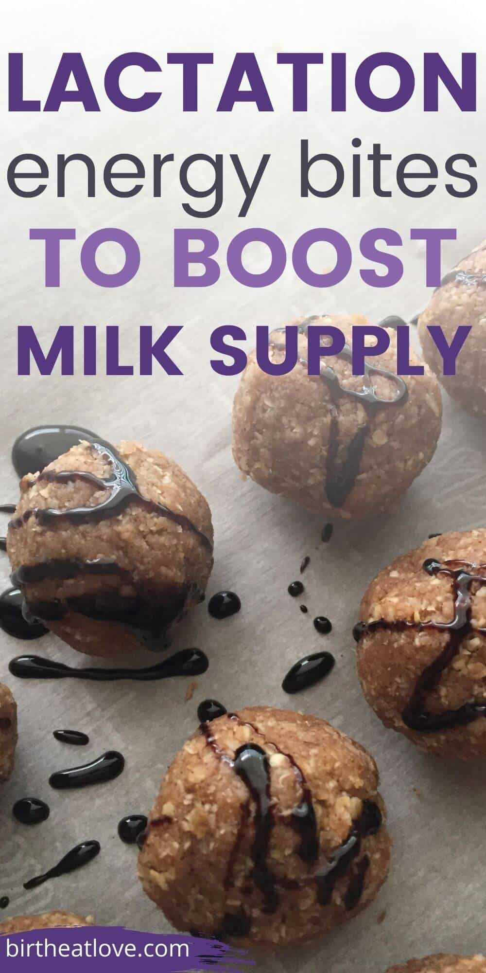 Apple Pie Lactation Energy Bites Recipe Birth Eat Love