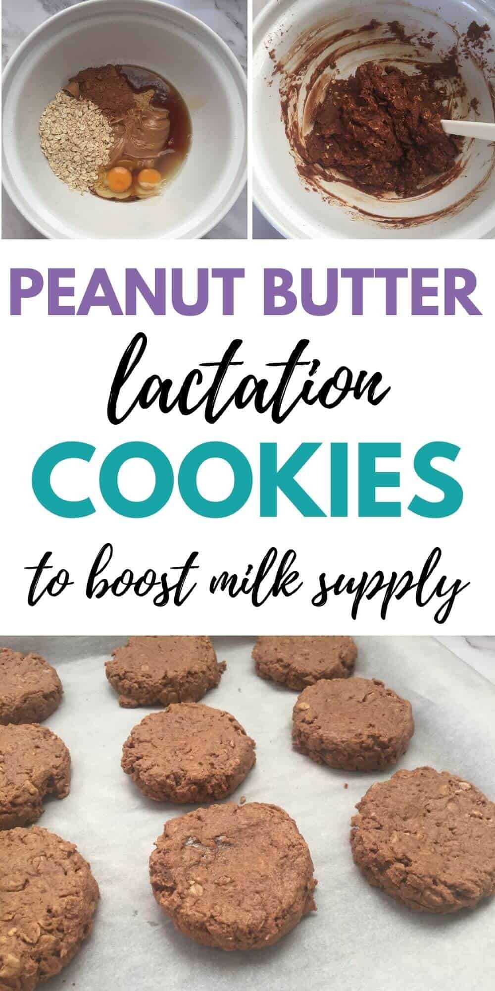 Peanut Butter Lactation Cookies (with chocolate!) Birth Eat Love